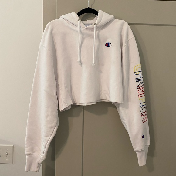 Champion H&M Reverse Weave Cropped Hoodie - Picture 1 of 4